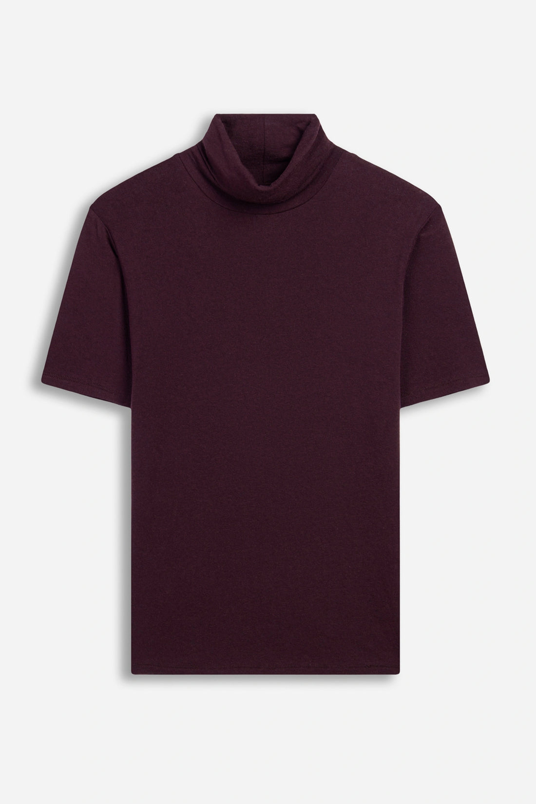Short Sleeve Turtleneck Top