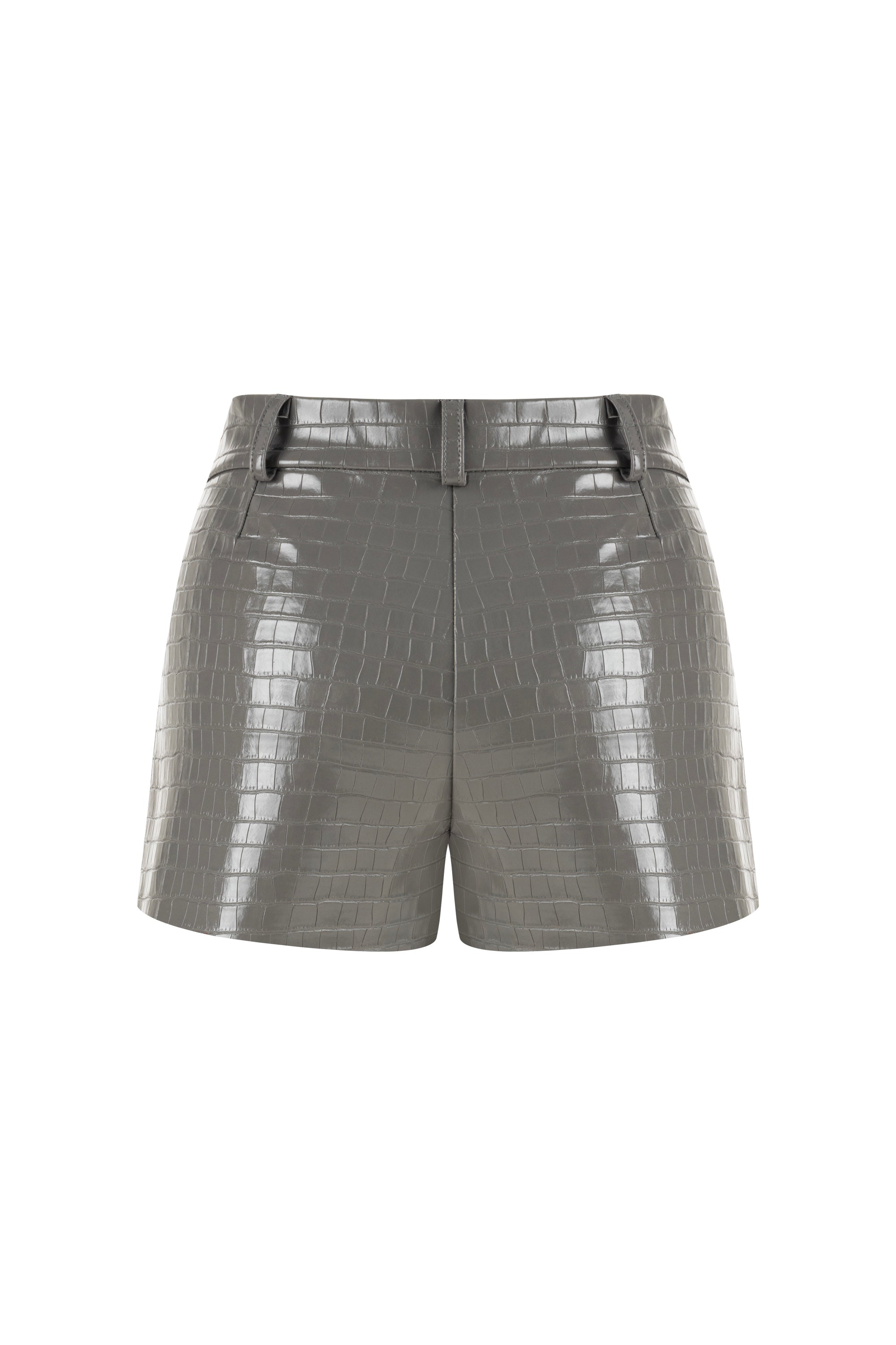 High Waisted Mini Shorts (Final Sale)