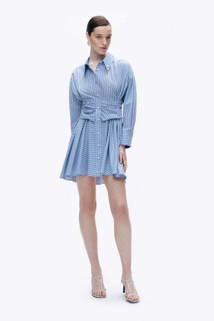 Blue Striped Mini Shirt Dress