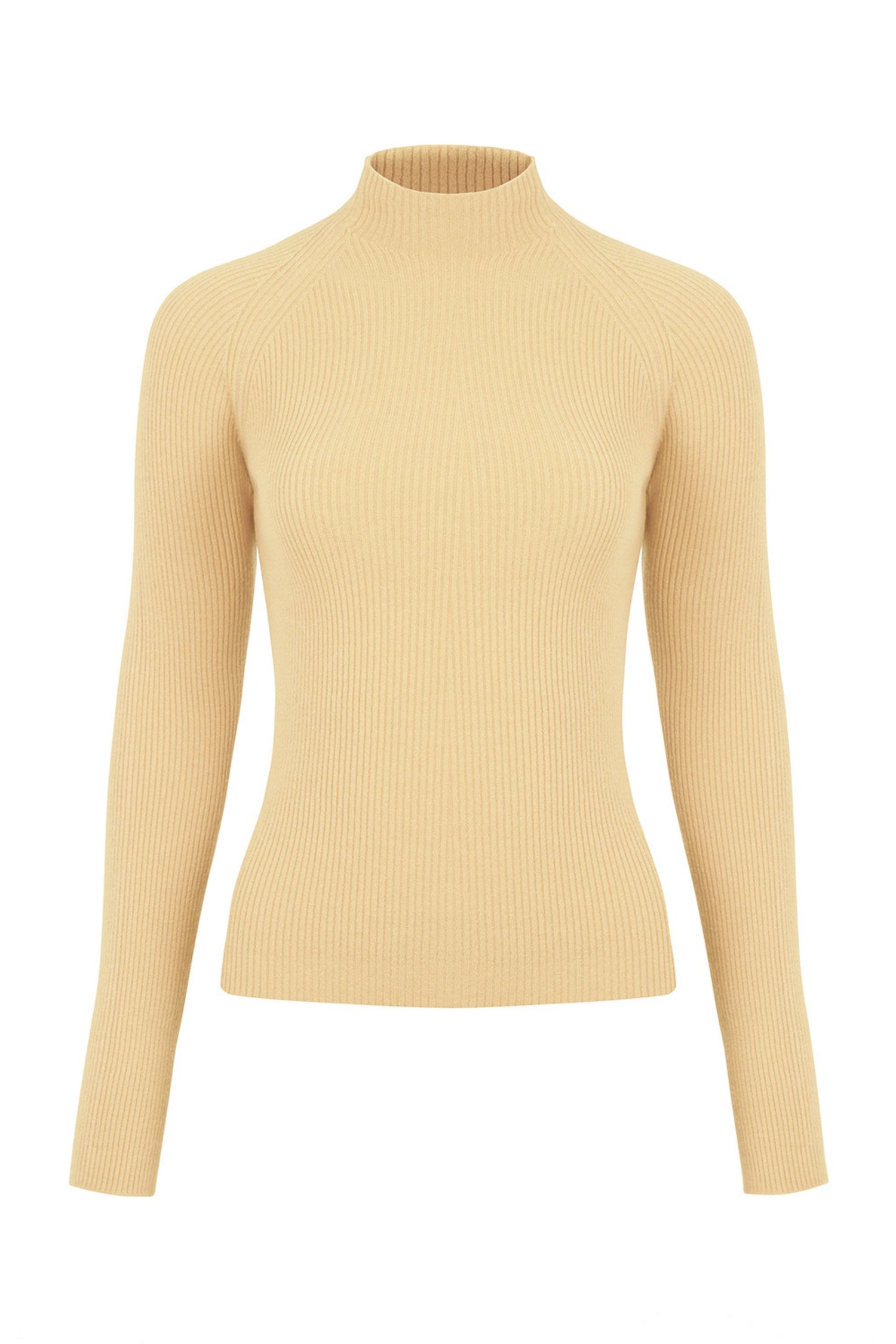 Turtleneck Knit Sweater (Final Sale)