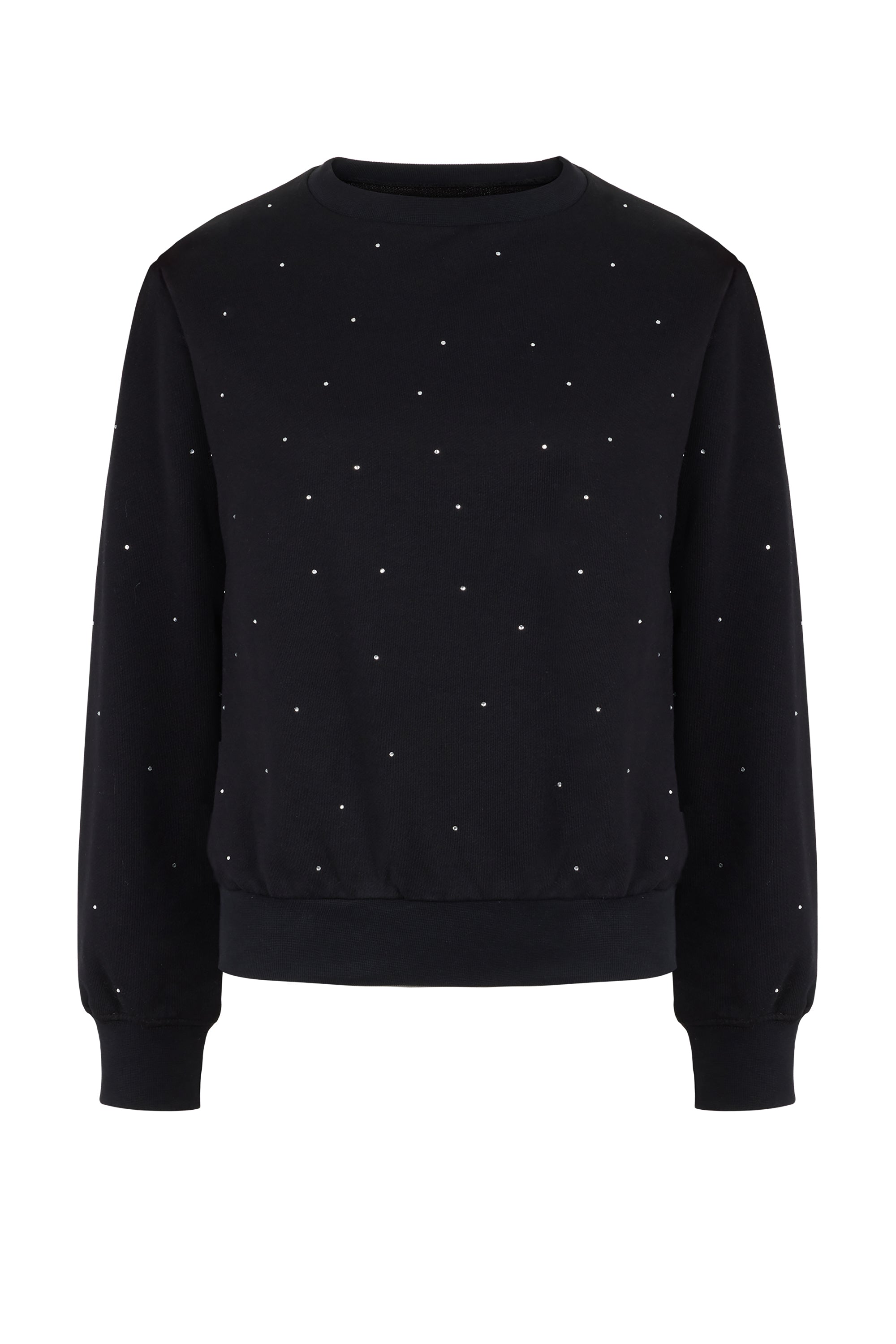 Studded Sweatshirt