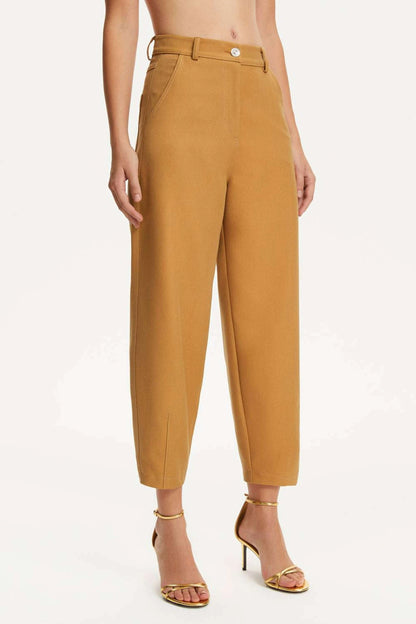 Pleated Slouchy Pants (Final Sale)